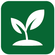 Sustainability